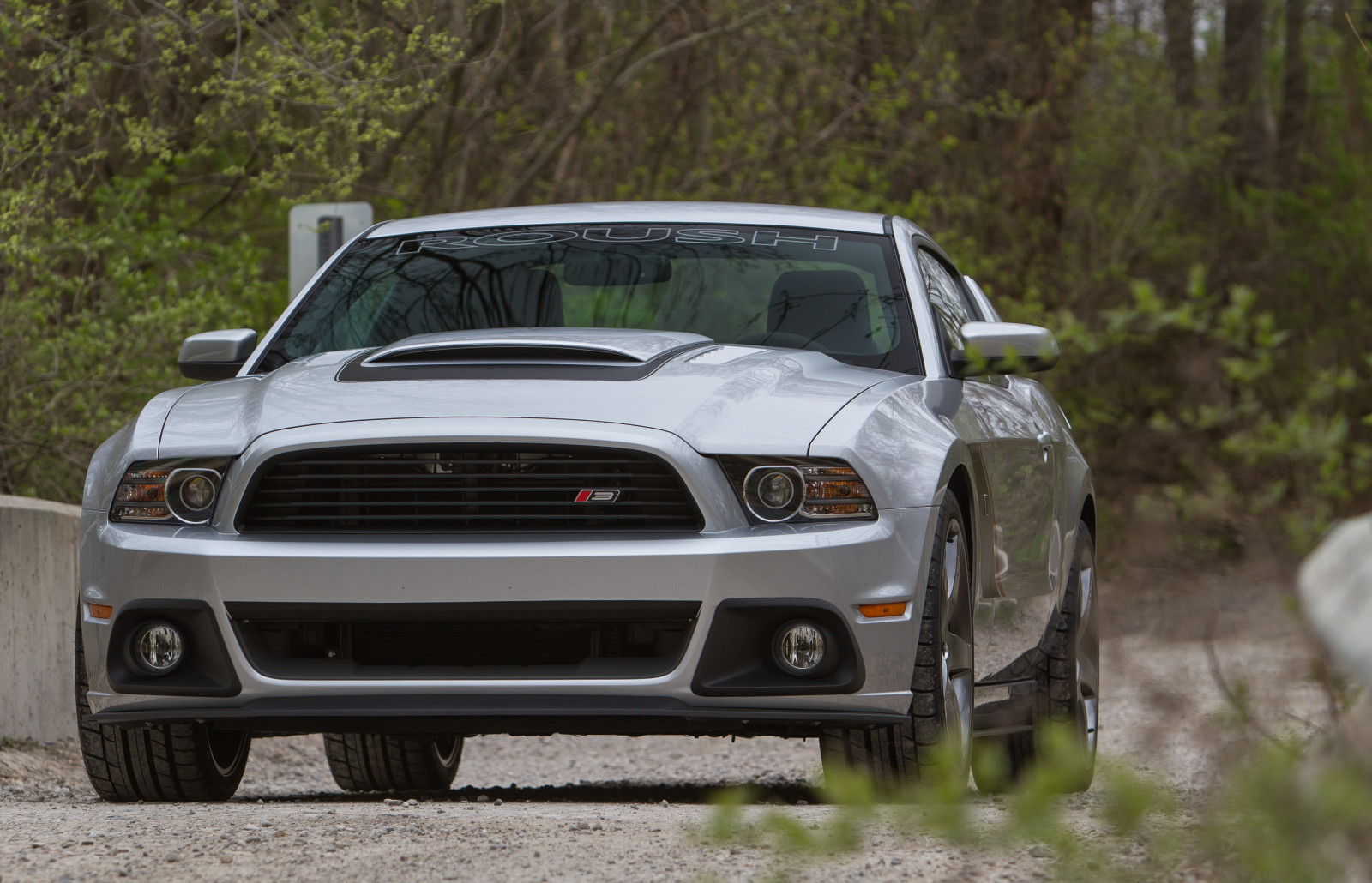 auto, vozidlo, sportovní auto, Brod, klasická auta, kupé, výkon auta, netcarshow, netcar, obrázky vozidel, photo auto, 2014, Mustang Stage 3 podle Roush, kolo, pozemní vozidla, automobilového designu, automobilový exteriér, automobil make, nárazník, shelby mustang, závoďák, stock závodní auto