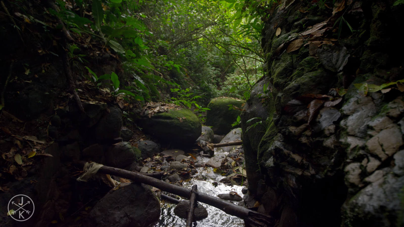 les, vodopád, zvěř, voda, Skála, Příroda, Červené, rostliny, zelená, řeka, údolí, mravenci, divočina, džungle, proud, deštný prales, had, rokle, strom, podzim, stezka, dobrodružství, zálesí, místo výskytu, přírodní prostředí, geografický rys, prales, vodní prvek