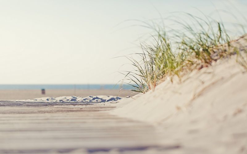 moře, voda, písek, rostliny, Příroda, pobřeží