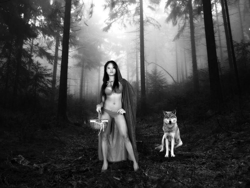 性质,阳光,森林,黑色,单色,模型