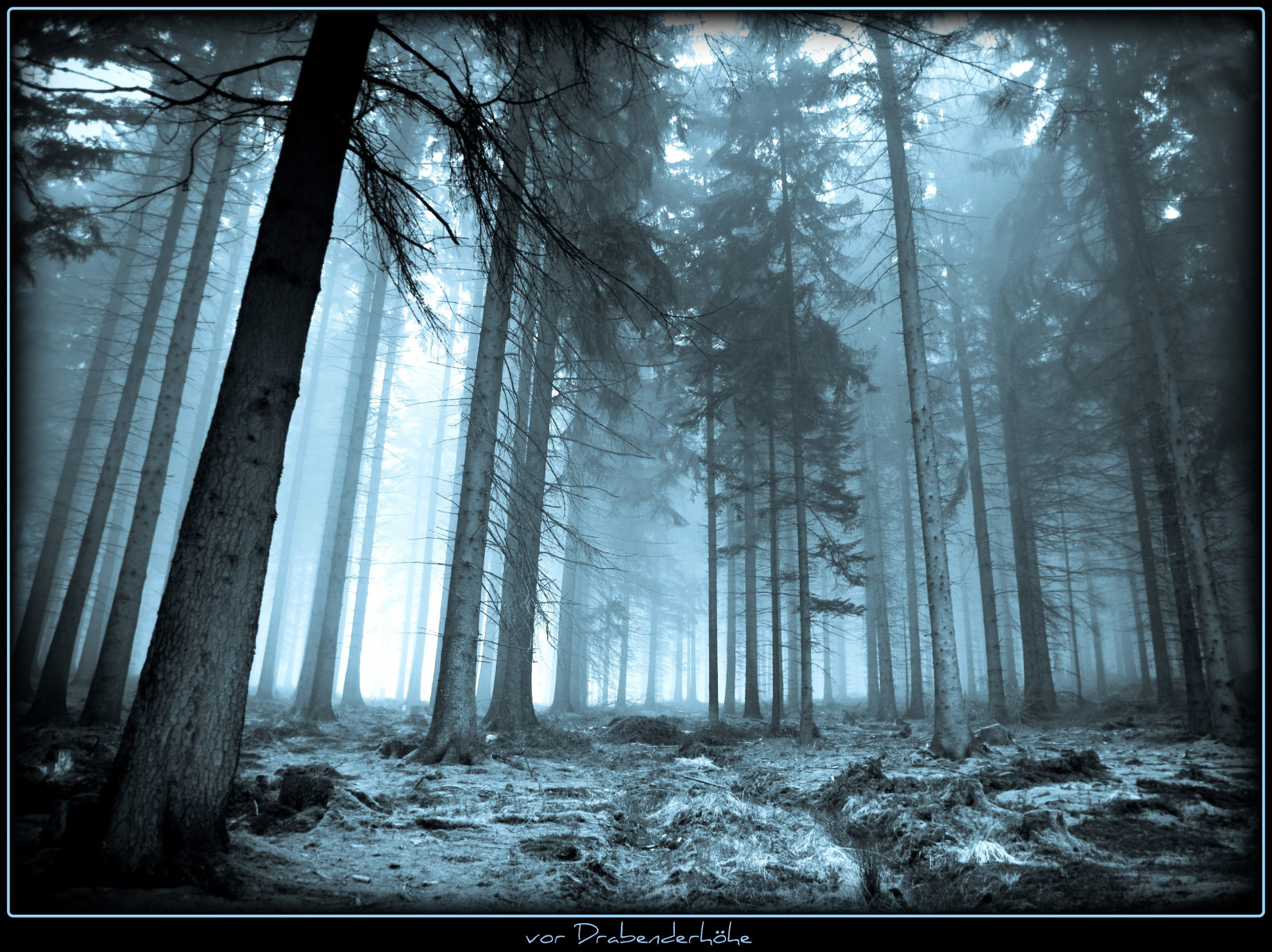 slunečnímu záření, les, černobílý, Příroda, dřevo, modrý, Německo, mlha, atmosféra, prach, tyrkysová, UMĚNÍ, strom, mlha, tma, tvořivý, platinumheartaward, bestcapturesaoi, platinumphoto, artofimages, Snímek obrazovky, Oberberg, platinumsuperstar, vanagram, zálesí, updatecollection, místo výskytu, přírodní prostředí, atmosférický jev, počítač tapeta, Černý a bílý, monochromatické fotografování