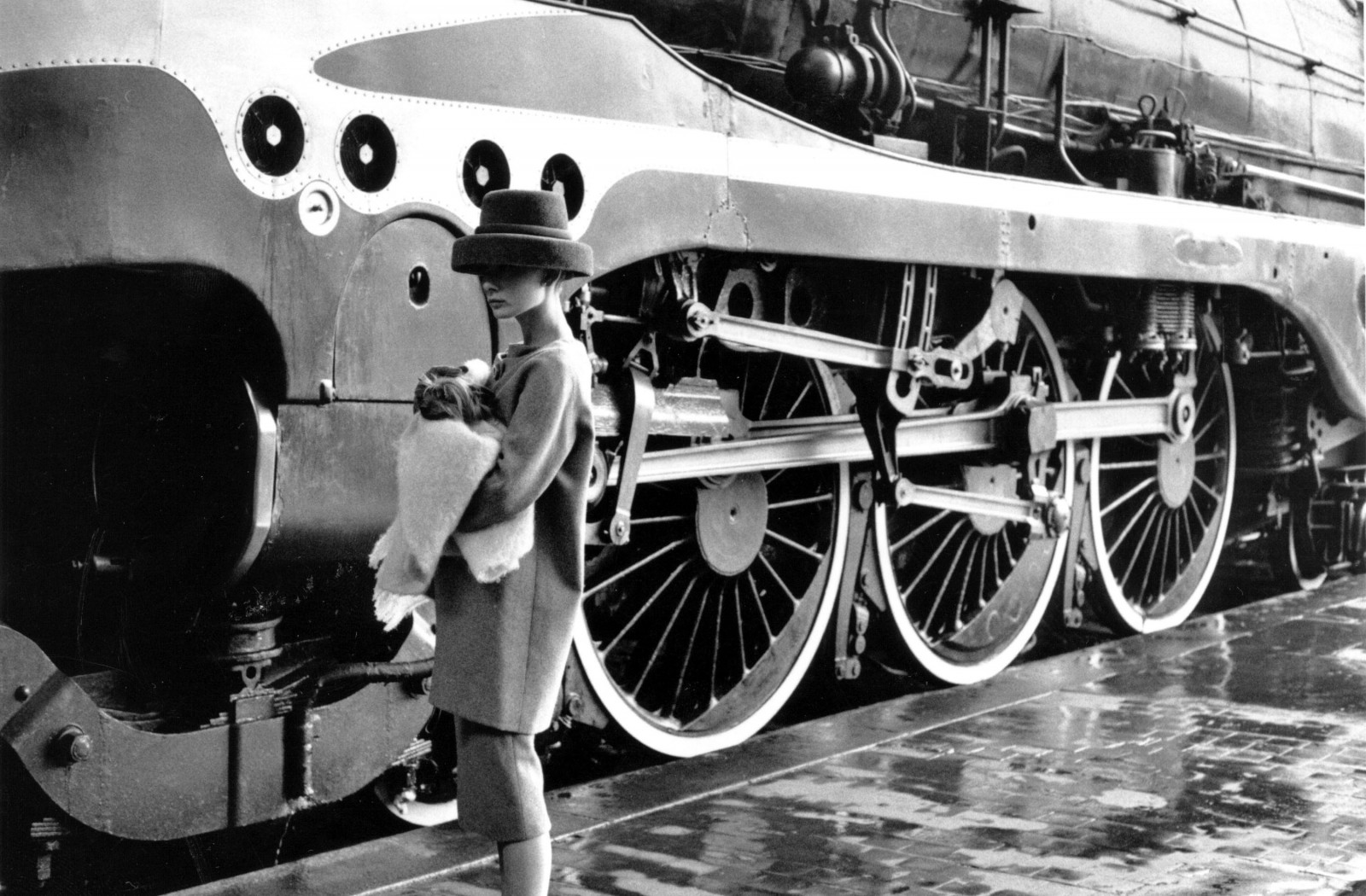 sort, Kvinder, monokrom, køretøj, fly, skuespillerinde, hund, Audrey Hepburn, transportere, lokomotiv, motor, hjul, sort og hvid, monokrom fotografering, bildesign, flymotor, automotive motordel, damp maskine