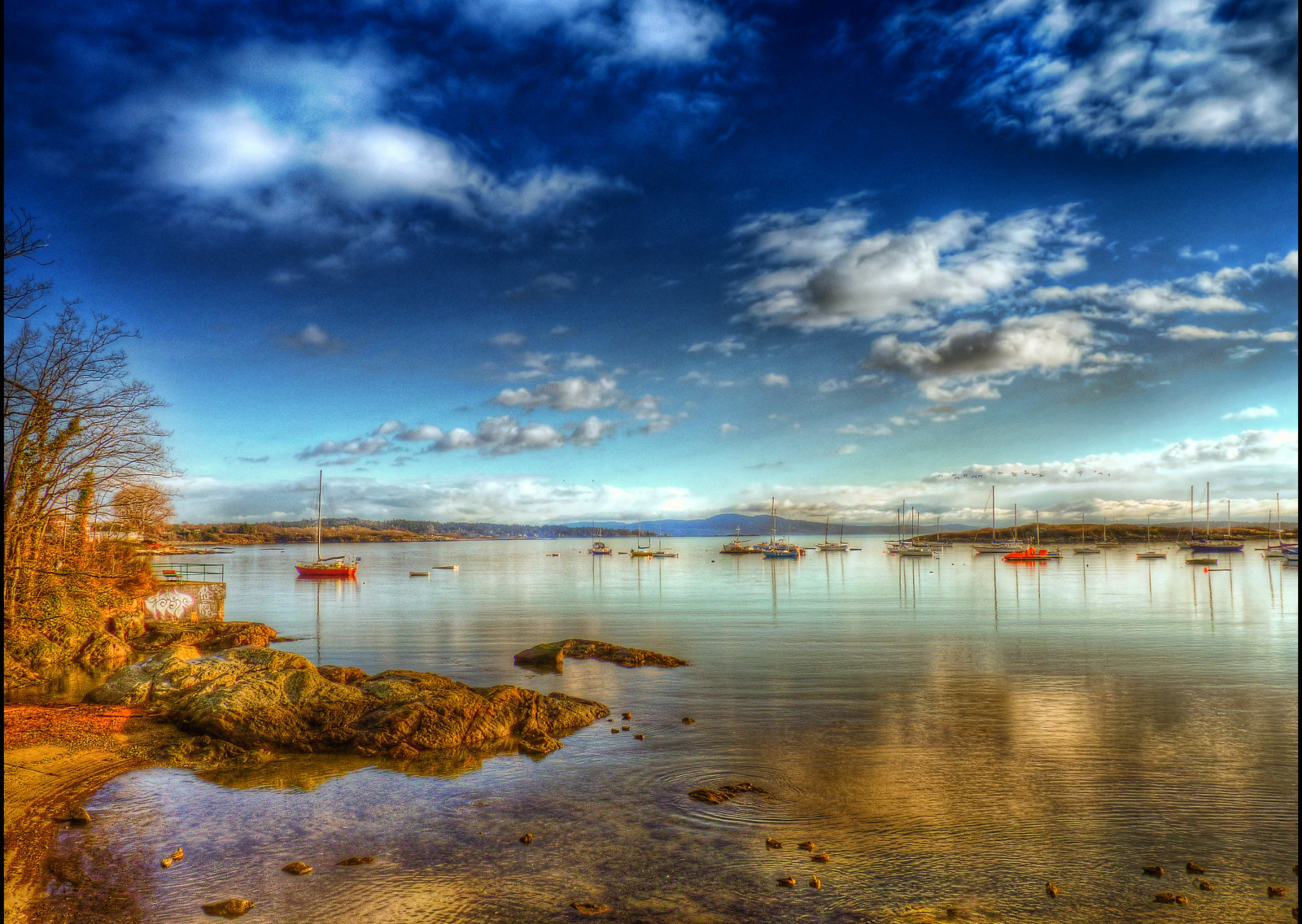oceán, cestovat, moře, Kanada, Cestovní ruch, Marina, krajina, záliv, před naším letopočtem, Pacifik, jachta, kanadský, uklidnit, vancouverisland, HDR, victoriabc, národní geografie, oakbay, naturepoetry, absolutegoldenmasterpiece, zedzap, magicunicornverybest, magicunicornmasterpiece