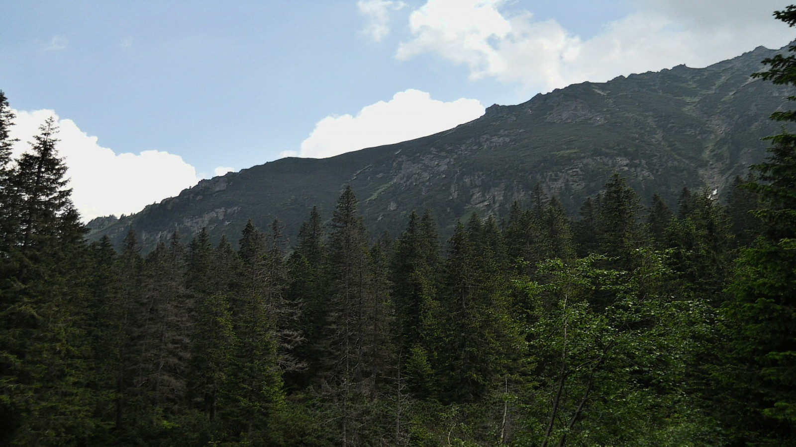 les, hory, Příroda, údolí, horský průsmyk, Polsko, divočina, Alpy, plošina, hřbet, strom, hora, stezka, louka, zálesí, místo výskytu, přírodní prostředí, atmosférický jev, dřevina, horských reliéf, landform, geografický rys, ekosystém, mírné jehličnatý les, biome, pohoří, smíšený les