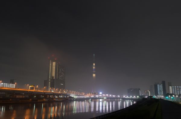 Japan, city, cityscape, night, architecture, reflection