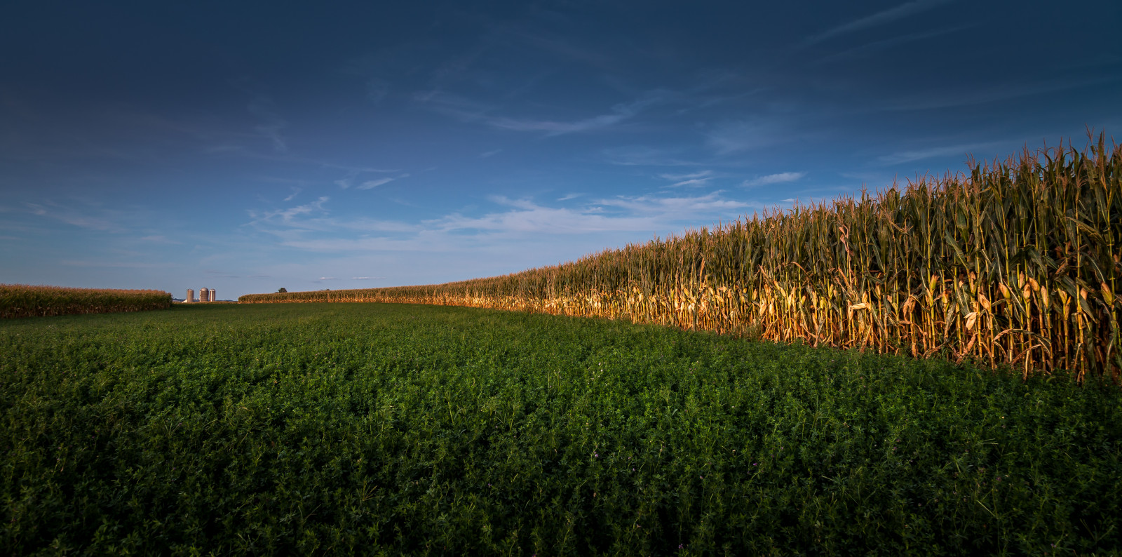 slunečnímu záření, krajina, západ slunce, kopec, Příroda, tráva, nebe, pole, svítání, zelená, modrý, ráno, hospodařit, Kánon, horizont, letní, soumrak, kukuřice, klidný, Pennsylvania, venkovský, polního, farmfield, Lancaster, Amish, 24105usml, klidný, mrak, scéna, Krásná, strom, 5dmarkii, uklidňující, podzim, hora, svítání, lučina, rostlina, zemědělství, louka, prostý, prérie, oříznutí, půda, venkov, místo výskytu, přírodní prostředí, dřevina, ekosystém, tráva rodina