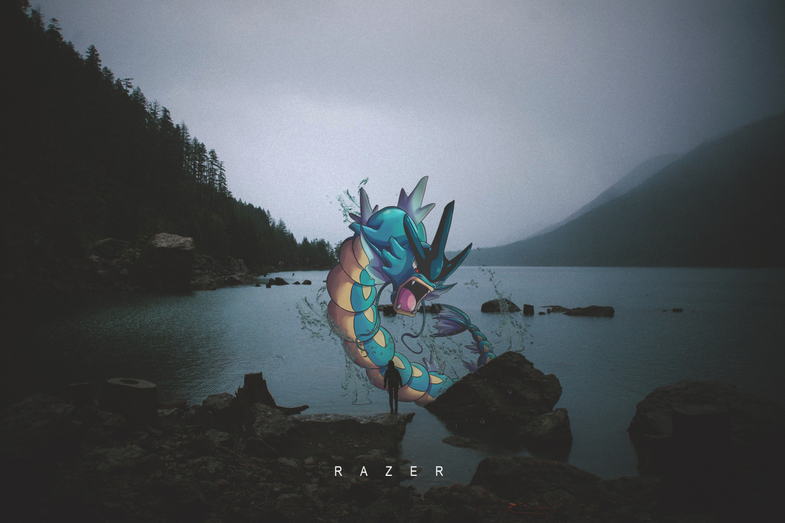 Wallpaper Pokemon Go, Pokemon Black, pokemon, Pokemon Moon 2048x1365 Heeeeeyo 1814119 HD