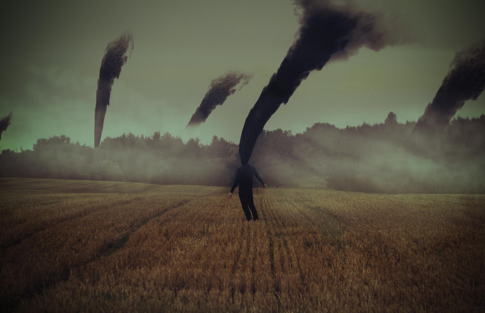 slunečnímu záření, krajina, portrét, tráva, nebe, pole, kouř, ráno, mlha, Kánon, vítr, atmosféra, cesta, pšenice, 2013, 100, mrak, strom, 50mm, lučina, uhlí, prostý, projekt, moje maličkost, prérie, oříznutí, venkov, počítač tapeta, Atmosféra Země, tráva rodina, jev, ekoregion, rene, Silbernagel, stock photography