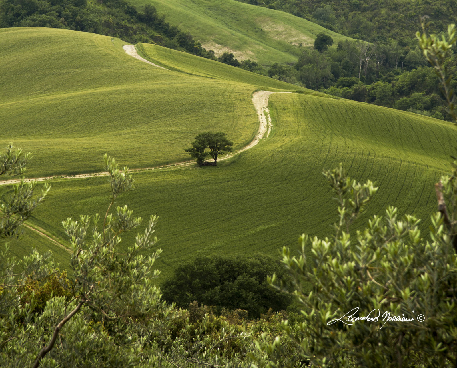 verde, Jago, strada, Tramonto, klit, Campagna, giallo, sål, Sentiero, rosso, TR, Civitella