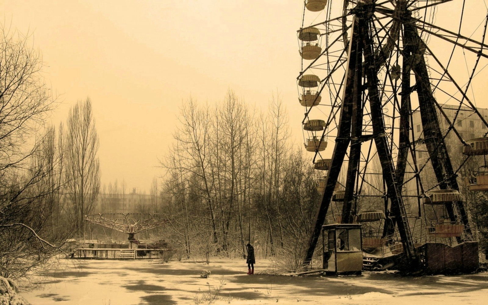 slunečnímu záření, apokalyptický, opuštěný, zima, večer, ráno, ruština, Černobyl, Pripyat, strom, sezóna, atmosférický jev, dřevina