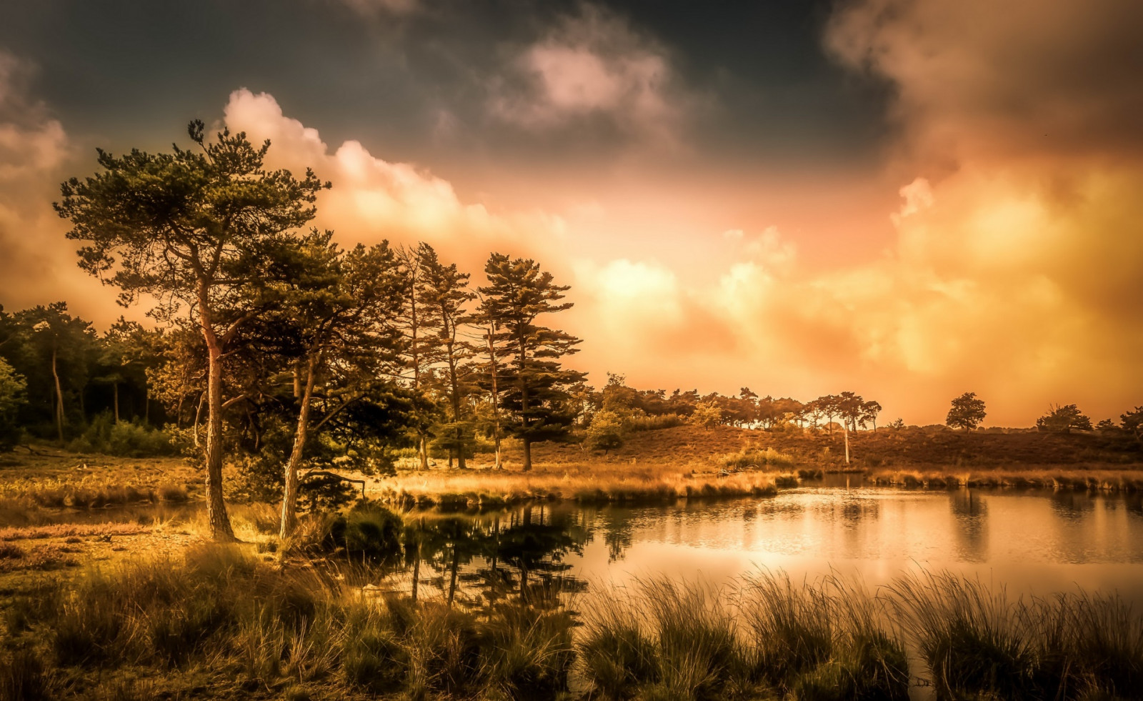 1920x1178 px, krajina, Příroda, nebe, stromy