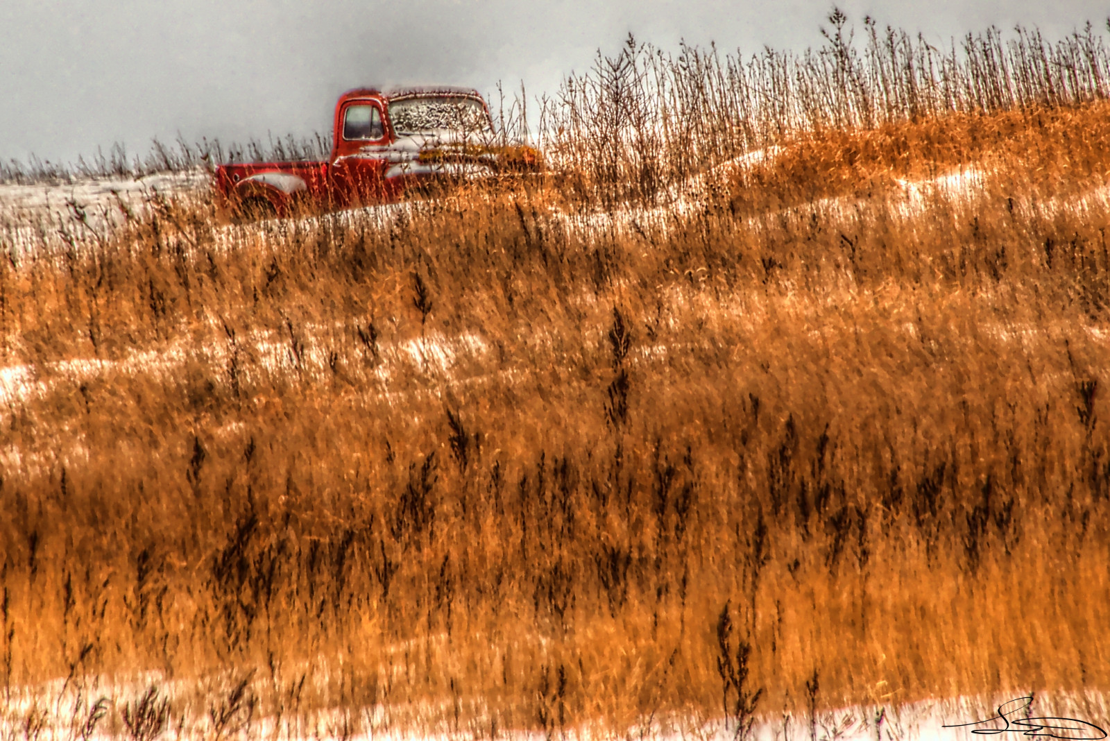 silnice, stromy, elektrický, stodola, venkovský, nákladní auto, účinky, Nikon, Středozápad, továrna, rozklad, hospodařit, Iowa, powerlines, Srdce, jak, koše, HDR, ruraldecay, Grainery, vysoká lajna, Krmivo, statek, corncrib, powerpoles, D600, Middleamerica, Cornbelt, Elektrické póly, Barnruins, Highlinepoles, nikond600, Fieldtruck, Hdrscene, luminancehdr, darktable, Rozpadu, Farmrunis, Highlinepoleselectricpoles, Corncribruins, Grainingruins