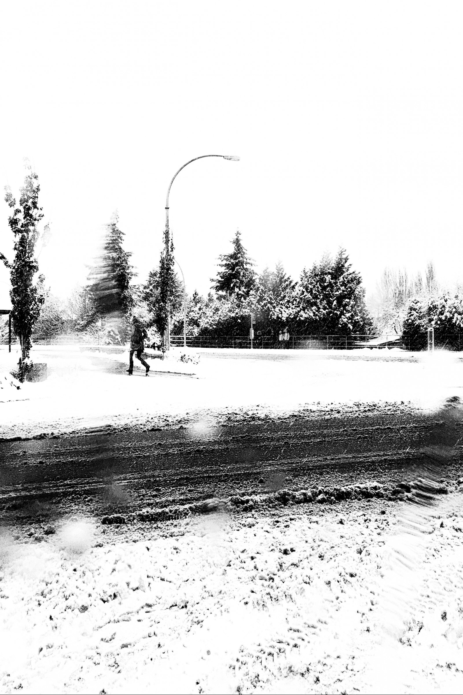 stromy, výkres, lidé, černobílý, město, ulice, sníh, zima, silnice, větev, iPhone, běh, leden, Mono, strom, počasí, sezóna, tělesné, pouliční osvětlení, rozmazat, blackandwhile, skica, atmosférický jev, Černý a bílý, monochromatické fotografování