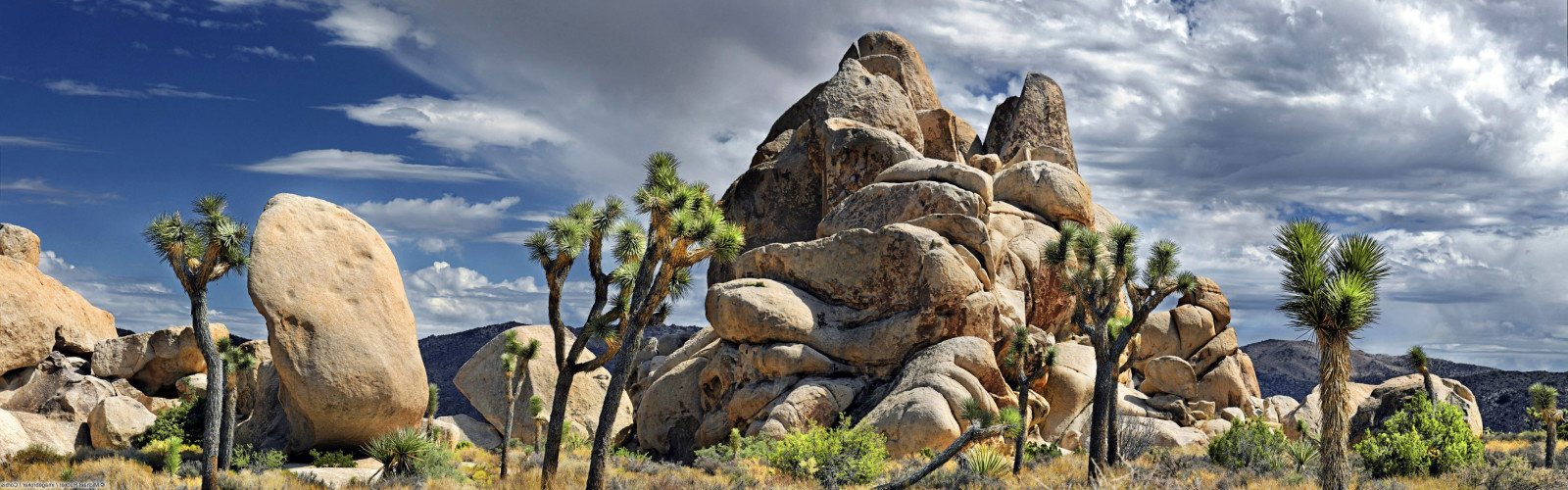 paesaggio, roccia, natura, parco, Parco Nazionale, valle, natura selvaggia, Joshua Tree National Park, Formazione, albero, montagna, Materiale, 3840x1200 px, morfologie montane, catena montuosa, calanchi