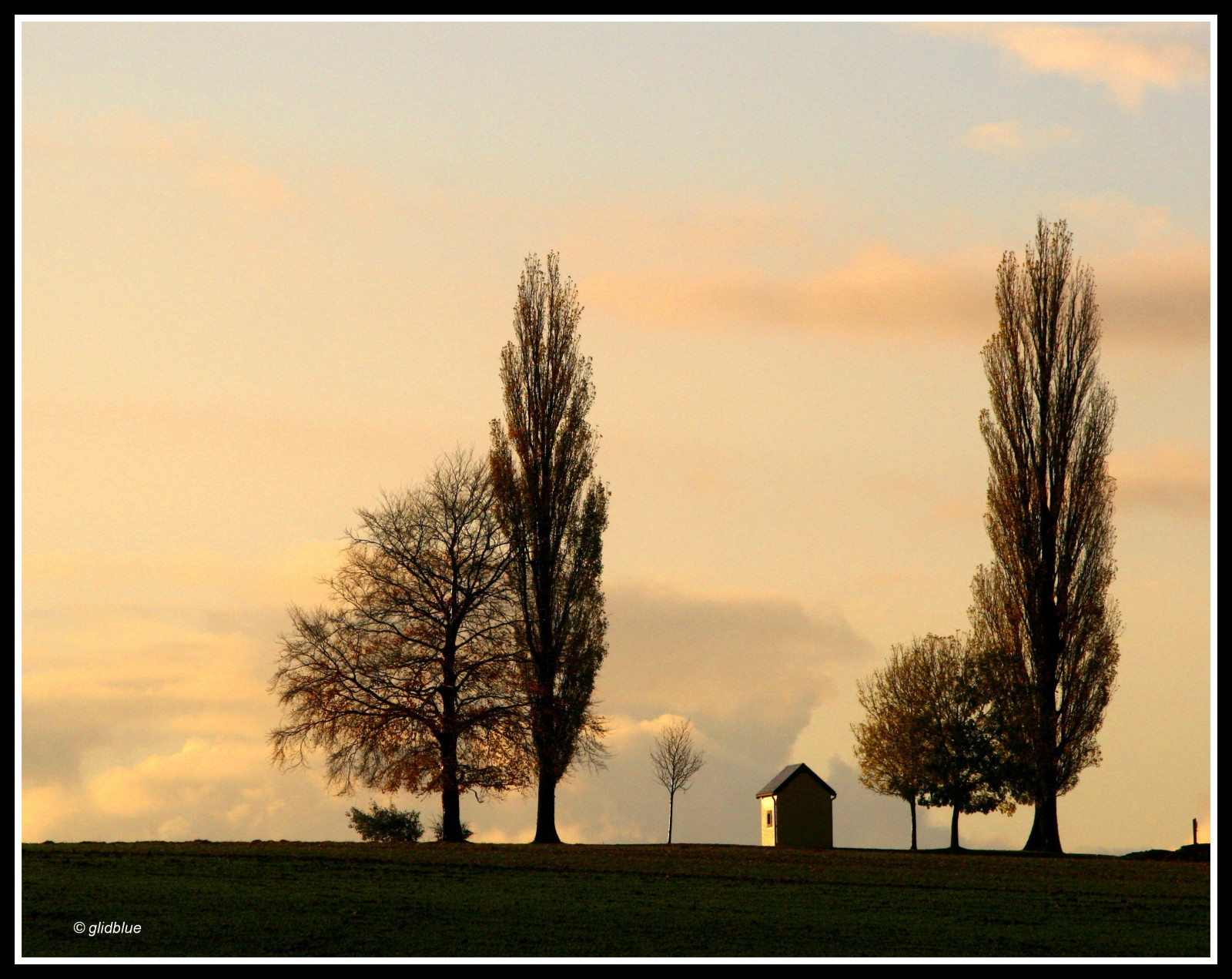 slunečnímu záření, stromy, krajina, bílý, západ slunce, Příroda, nebe, svítání, večer, ráno, horizont, soumrak, Belgie, kaple, podsvícení, Soumrak, mrak, strom, podzim, svítání, rostlina, siluety, volavka, atardecer, arboles, contraluz, automne, chapelle, blanc, prostý, autunno, 1001nights, aplusphoto, samota, contrejour, arbres, alberi, topoly, Pioppi, Wallonie, provincedeli ge, Colline, siluetas, atmosférický jev, dřevina, Peupliers, saintdonat, findejourn e, mmarsupilami, jucanils, couleursduciel, glidblue, savana