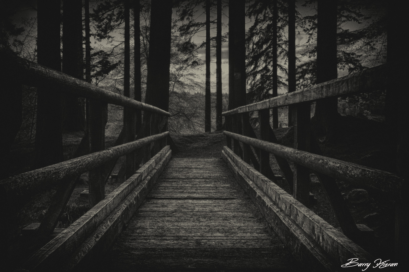 สีขาว, ดำ, ขาวดำ, สมมาตร, เหนือจริง, สะพาน, กรันจ์, Canon, ไอร์แลนด์, โมโน, เบา, ไม้, ป่า, ความมืด, และ, ปรากฏการณ์บรรยากาศ, ดำและขาว, ถ่ายภาพขาวดำ, louth, dundalk, ravensdale