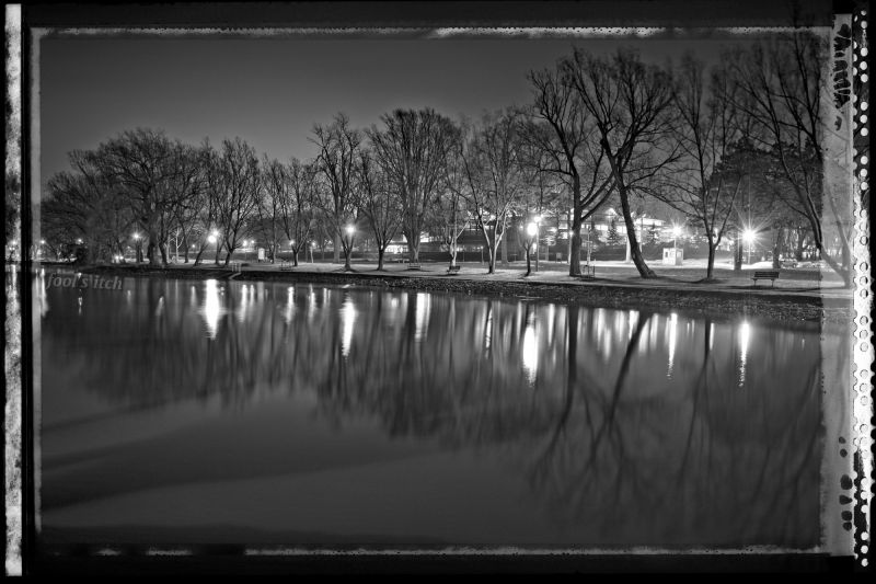 trees,landscape,lights,monochrome,night,black