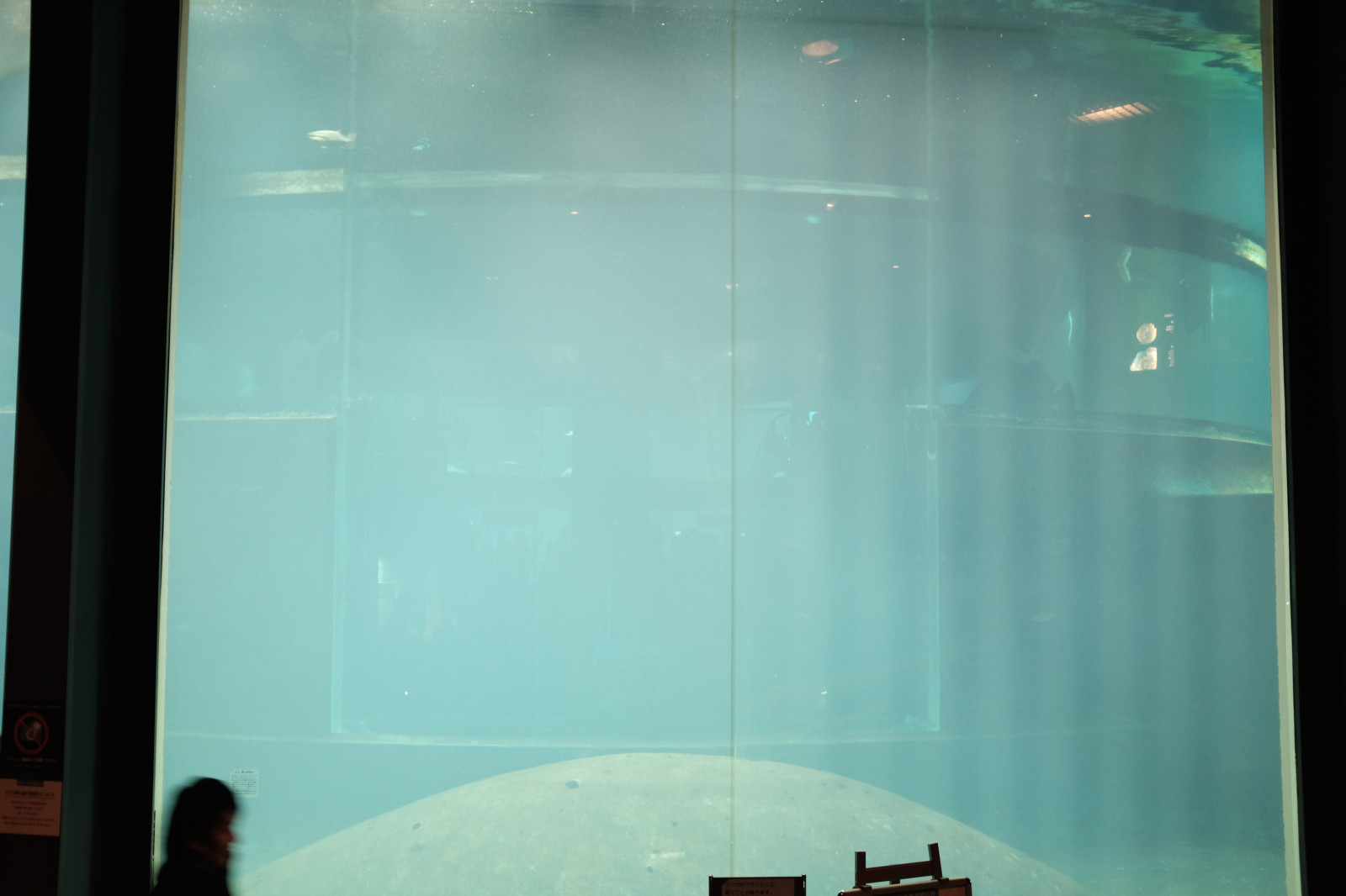 okno, odraz, zelená, modrý, sklenka, Vzhled interiéru, Tokio, Fujifilm, světlo, barva, tvar, Fujinon, x, x100, x100t, Kasai, kasairinkaipark, tokyosealifepark, Atmosféra Země, Žaluzie okna