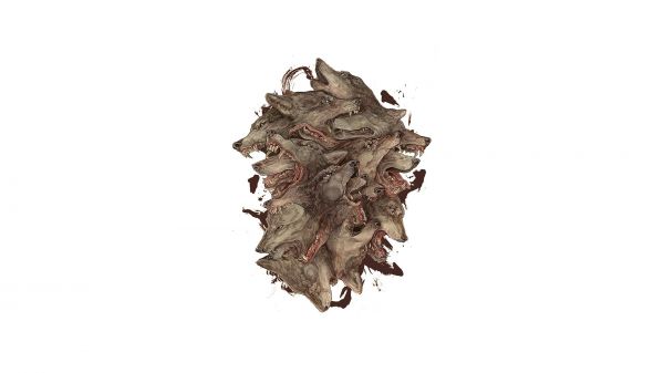simple background,minimalism,animals,fantasy art,wood,branch