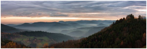 mountain,forest,sunset,panorama,mist,fog