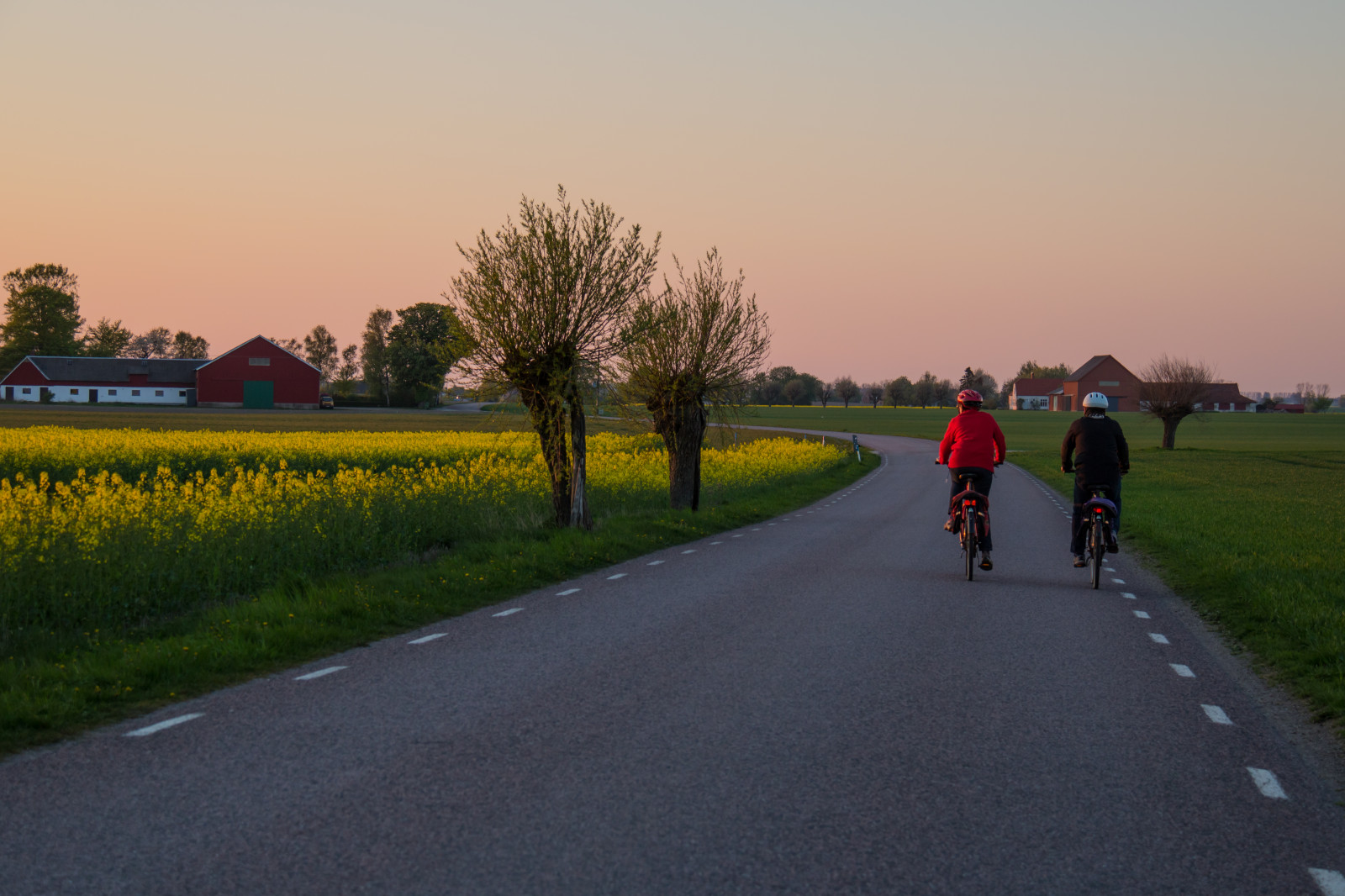 landskab, solnedgang, bakke, græs, Mark, vej, aften, morgen, horisont, hovedvej, asfalt, infrastruktur, Raps, landskabet, landsbygd, rapper, f lt, s dersl tt, landskap, raps, rapefield, landdistrikt, tur