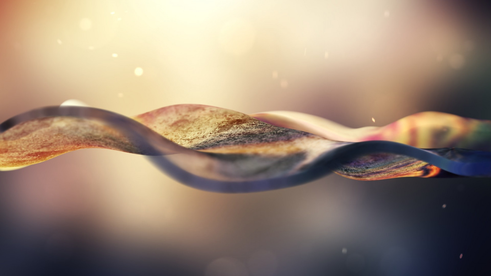 slunečnímu záření, voda, Příroda, odraz, fotografování, CGI, větev, ráno, průběhy, světlo, barva, list, květ, okvětní lístek, 1920x1080 px, počítač tapeta, orgán, zblízka, makro fotografie