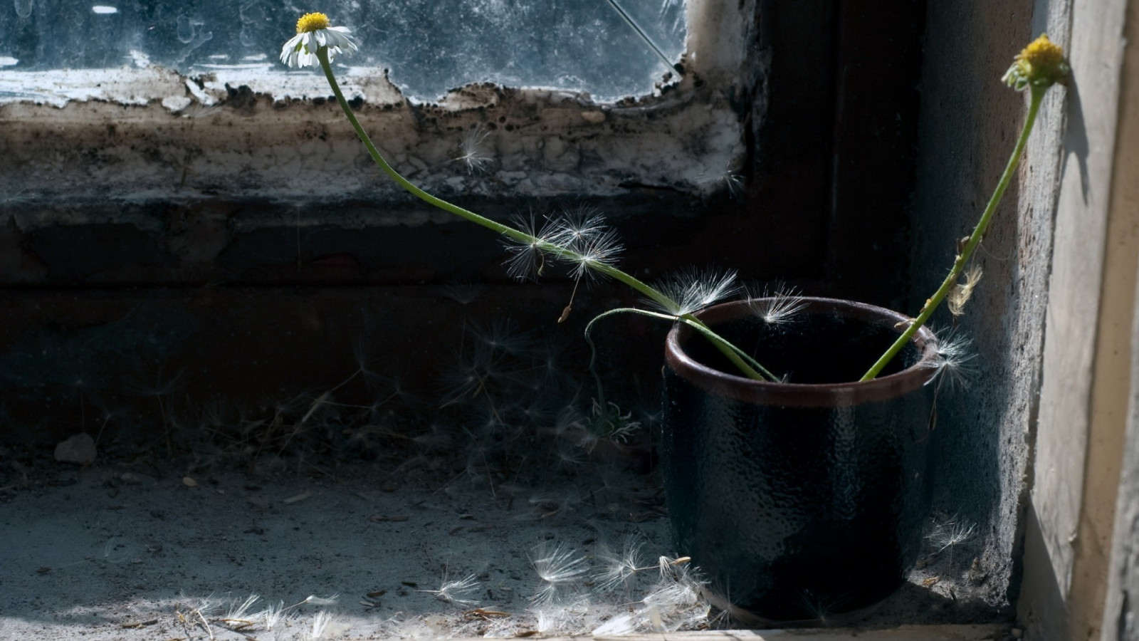 bloemen, water, fabriek, 1920x1080 px