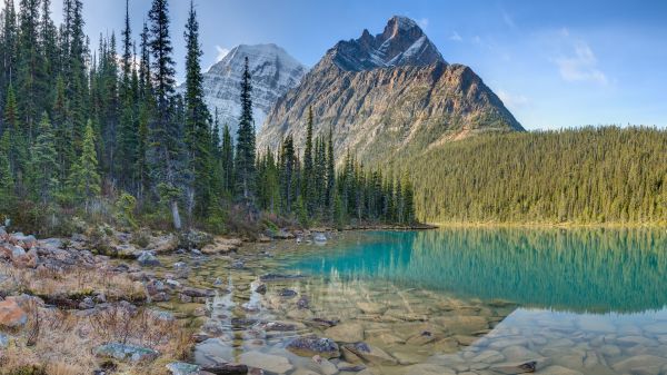 nature,landscape,trees,rocks,forest,lake