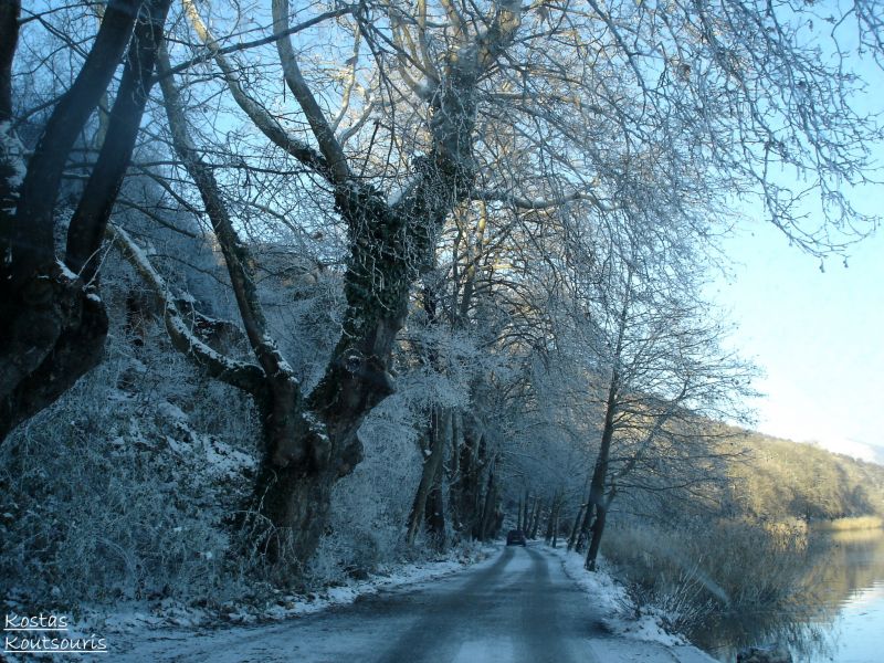 trees,winter,lake,snow,road,ice