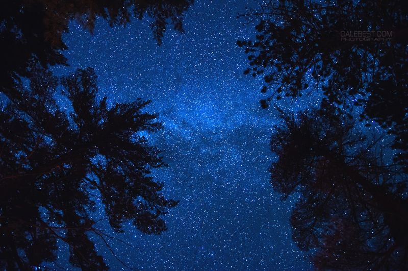 Sonnenlicht,Bäume,Nacht-,Himmel,Sterne,Mondlicht