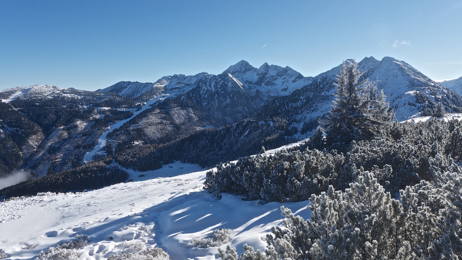 Fondos de pantalla nieve, Árboles, bosque, cielo limpio, invierno