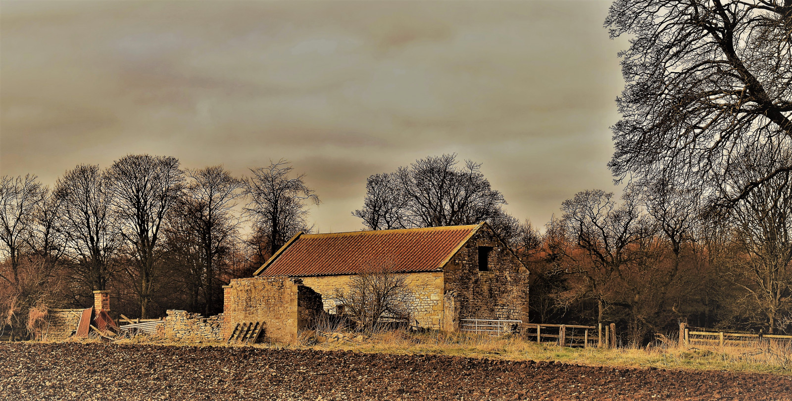 Fond d'écran : paysage, la nature, bâtiment, herbe, hiver, bois, maison