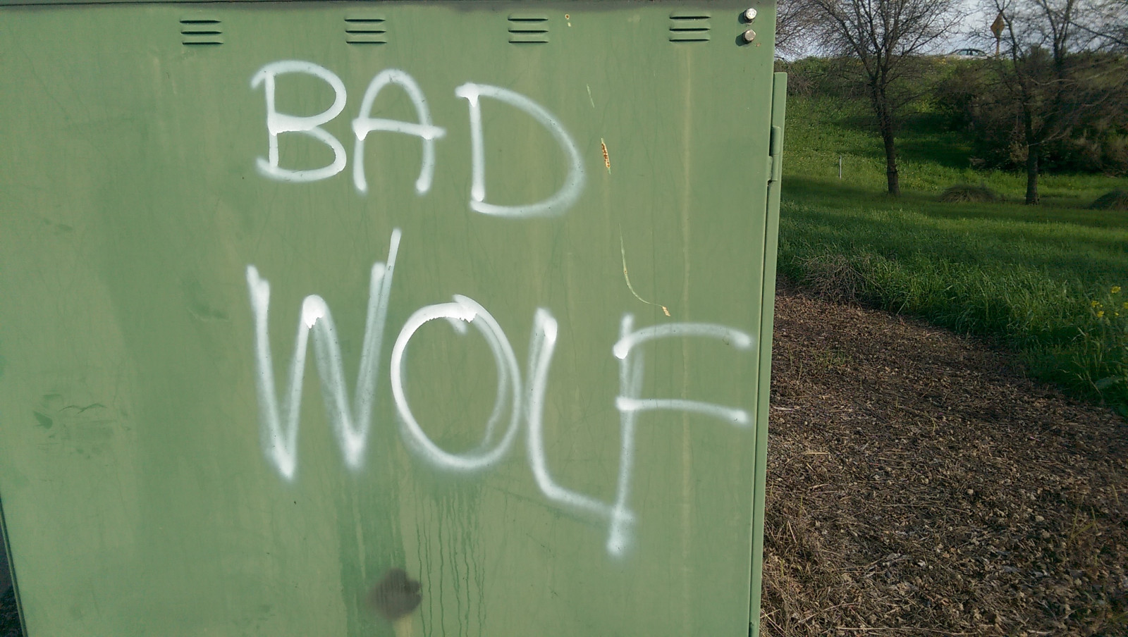 หญ้า, สีเขียว, ลงชื่อ, กราฟฟิตี, urbex, 2017, ต้นไม้, โครงการ 365, จำนวน, pictureoftheday, ตัวอักษร, ป้าย, หมอ, 2017yip, whovian, หมาป่า, 365in2017, 55365, 24feb2017