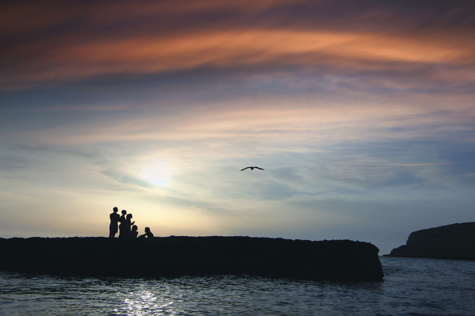 อิบิซ่า, Calaconta