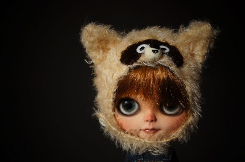 medvěd, čepice, helma, Blythe, mýval, Zvyk medvěd, čepice, helma, Blythe, mýval, Zvyk