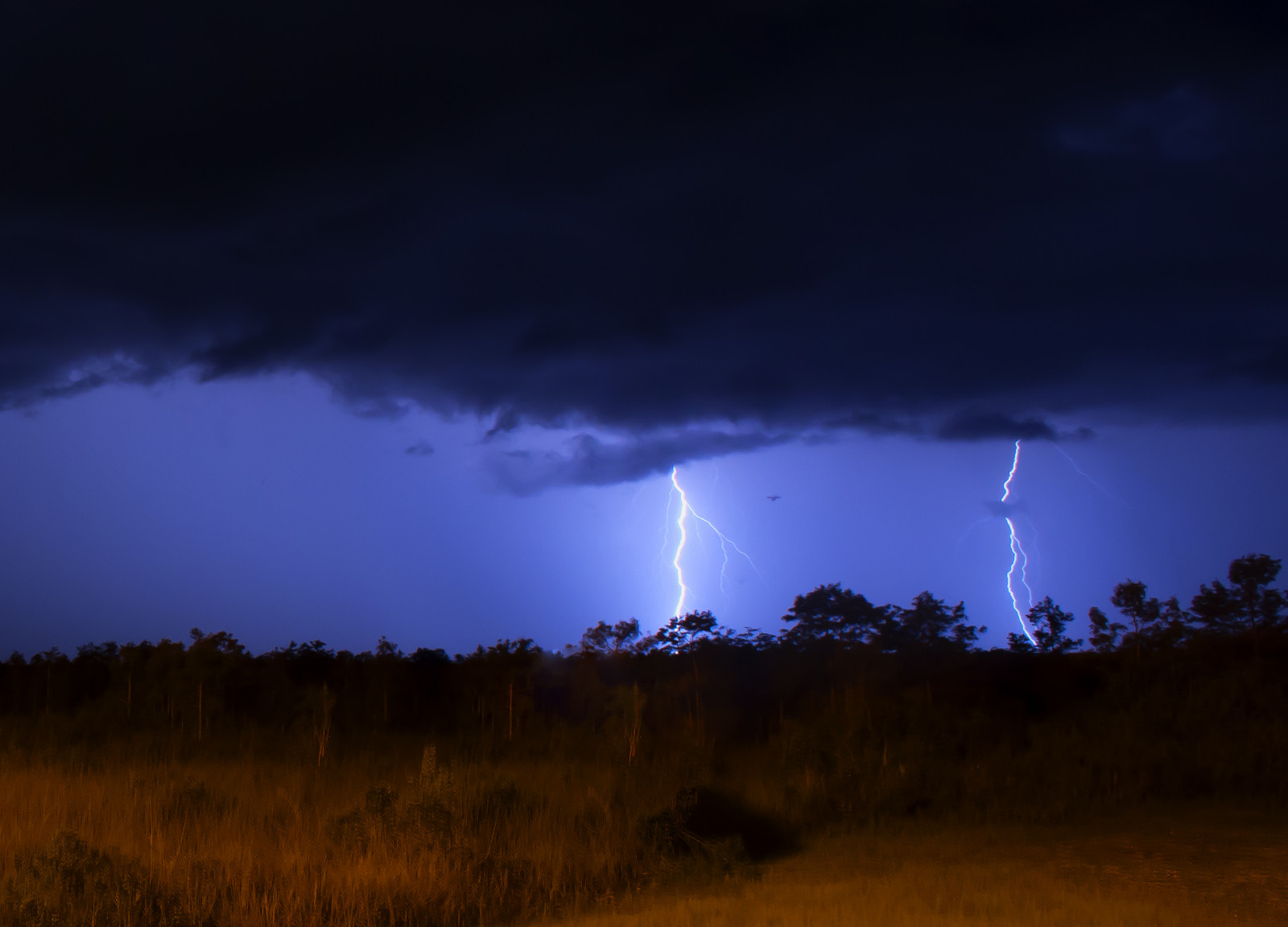 landskab, nat, himmel, skyer, lyn, storm, aften, vind, horisont, atmosfære, Nikon, torden, Florida, Everglades, Sky, træ, tordenvejr, mørke, almindeligt, nikond600, naturephotography, computer tapet, meteorologisk fænomen, cumulus, fænomen