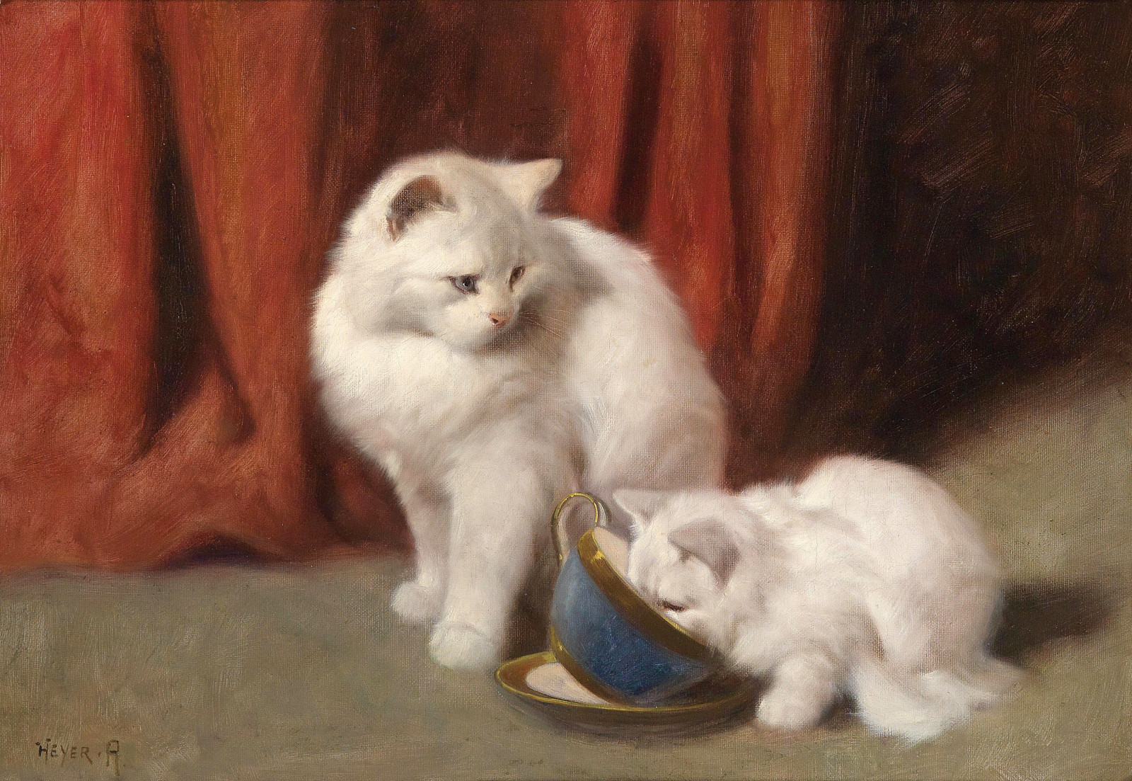 3228x2226 px, Zwierząt, Arthur Heyer, kot, obraz