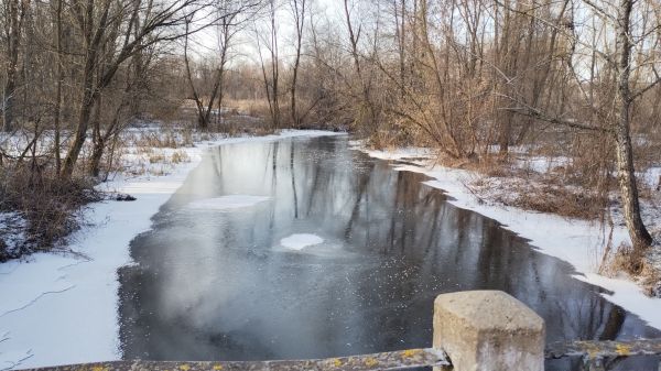 winter,river,ice,swamp,nature