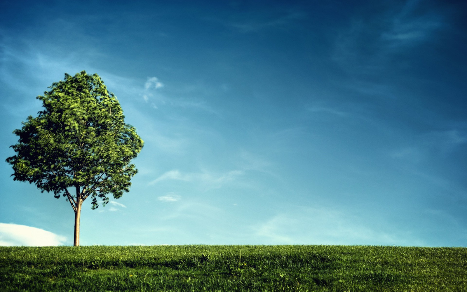 Hintergrundbilder : Sonnenlicht, Landschaft, Hügel, Natur, Gras, Himmel