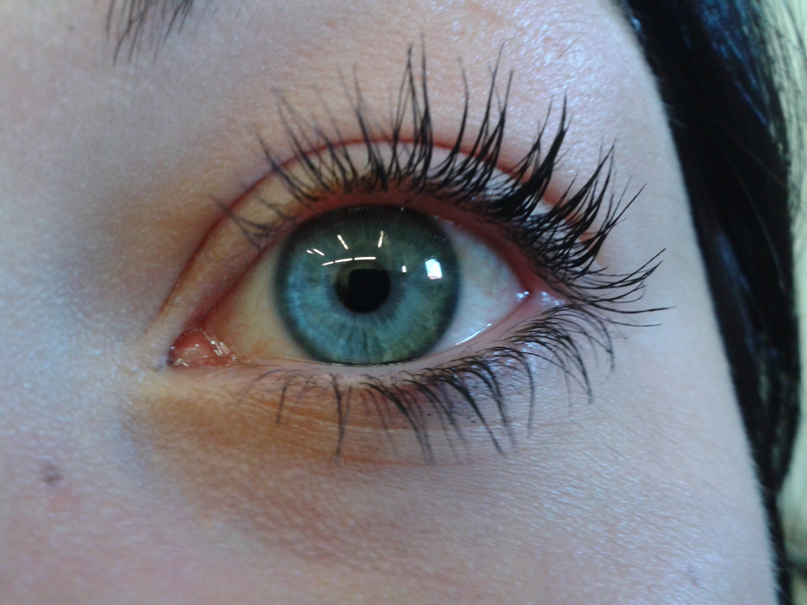 Wallpaper face, eyes, green, blue, nose, eye, cosmetics, follow