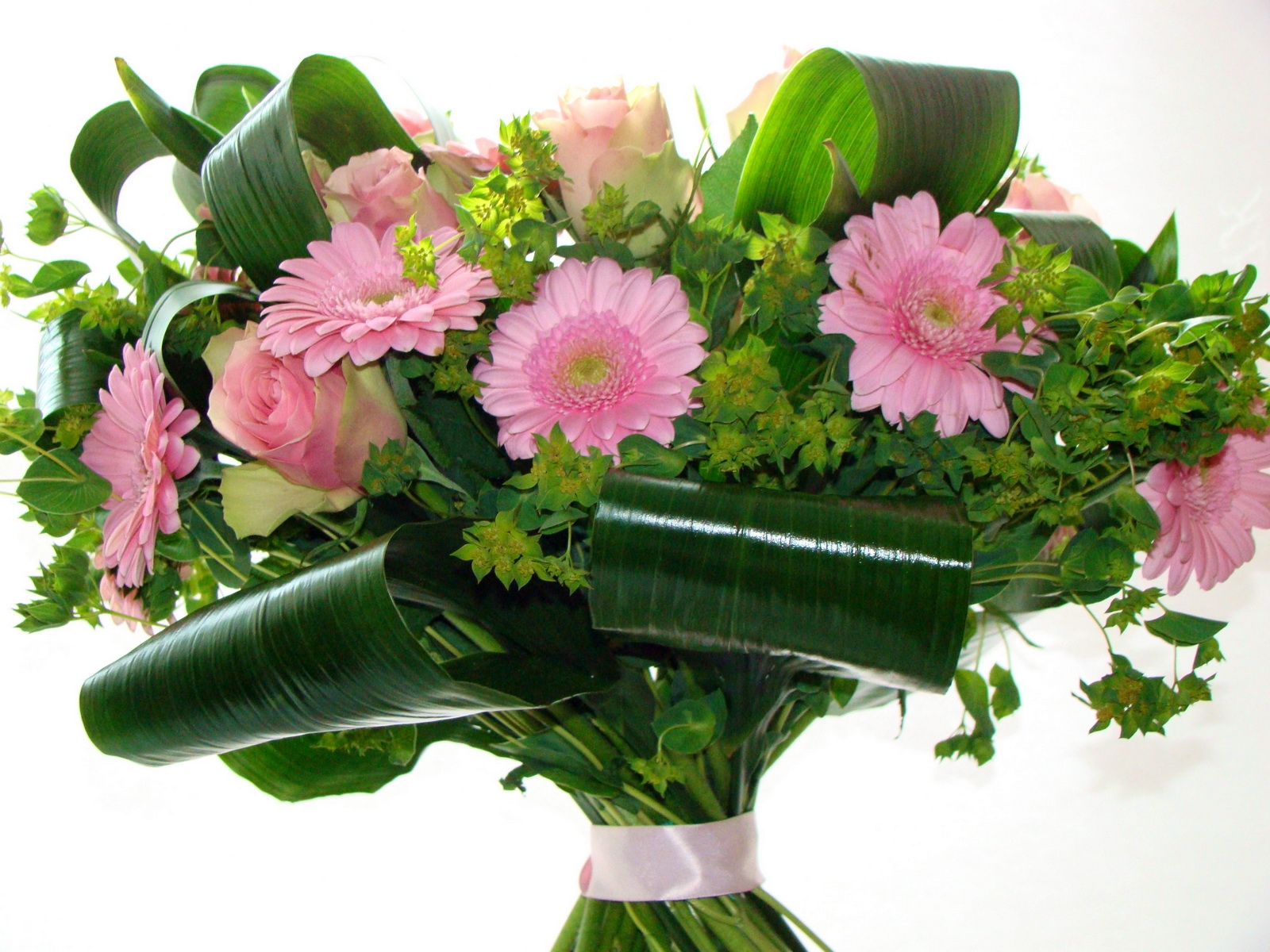 květiny, stuha, chryzantémy, UMĚNÍ, květ, rostlina, růže, design, suchozemská rostlina, kvetoucí rostlina, jednoletá rostlina, floristika, zeleň, kytice, aranžování květin, květinový vzor, gerbera, řezané květiny, Vrchol, peruánský lily, alstroemeriaceae, umělé květiny