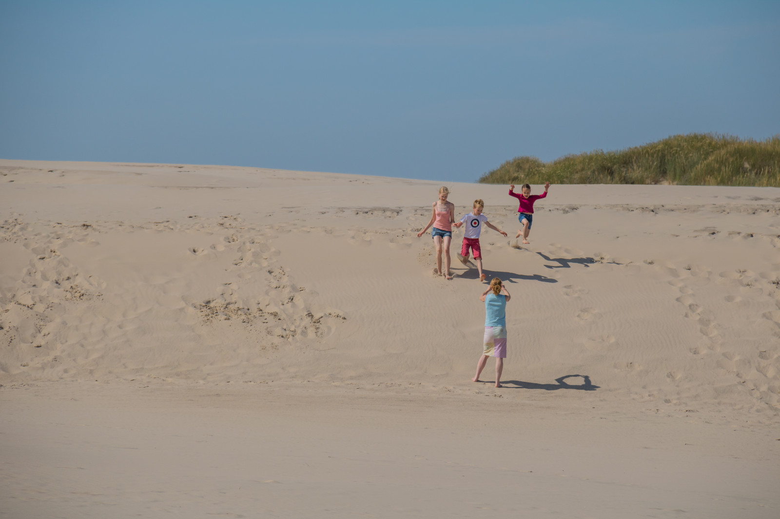 krajina, lidé, moře, písek, pláž, poušť, duna, Dánsko, Danmark, m nniskor, materiál, Skagen, bunkenklitplantage, r bjergmile, Jylland, sanddyn, migratingcoastaldune, místo výskytu, přírodní prostředí, landform, geografický rys, Liparské landform, ERG