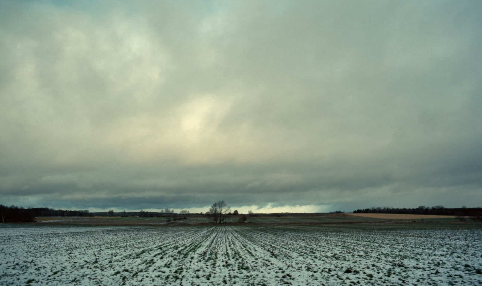 slunečnímu záření, stromy, krajina, moře, jezero, voda, pobřeží, odraz, nebe, sníh, zima, uklidnit, večer, ráno, mráz, řeka, horizont, atmosféra, 35MM, fotoaparát značky kodak, zmrazení, Olympus, mokřadní, Epson, barva, mrak, strom, Landschaft, analogový, pole, nádrž, b UME, Pflanzen, Felder, jezero, počítač tapeta, vodní, meteorologický jev, kupa, ektar, kodakektar100, jev, st DTE, asa100, ff135, V800, d rfer, siedlungen, offensen, olympusom2, vodní zdroje, 20170202