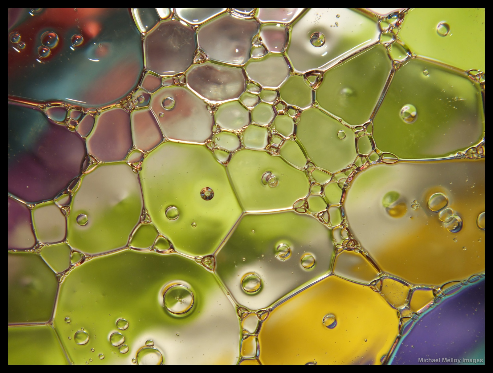 abstraktní, Studený, barva, makro, UMĚNÍ, voda, obal, papír, catchycolours, vícebarevný, Bubliny, olej, 365, barevný, oilandwater, 365project, emulsification, captureyour365