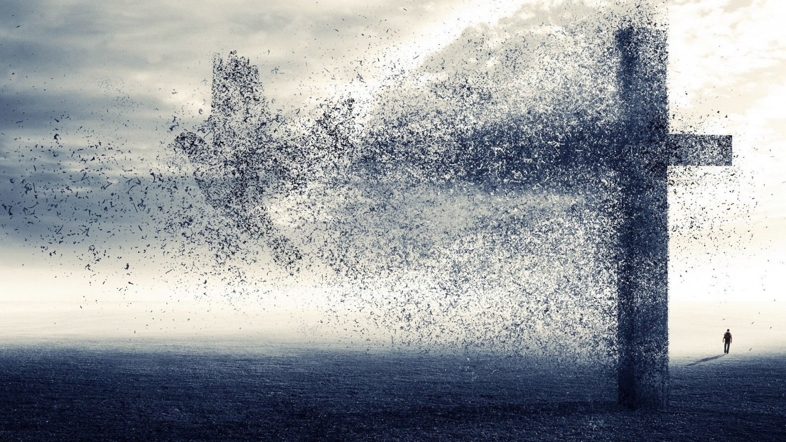 muži, slunečnímu záření, ptactvo, černobílý, odraz, nebe, sníh, zima, pole, umělecká díla, svítání, ráno, mlha, letící, mráz, textura, vítr, horizont, atmosféra, přejít, náboženský, křesťanství, mír, zmrazení, klín, světlo, mrak, mlha, počasí, svítání, atmosférický jev