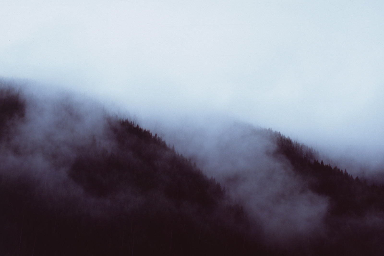 stromy, hory, nebe, sníh, ráno, mlha, kapuce, atmosféra, Oregon, 35MM, opar, pentax, 12, M, mrak, parní, 50mm, mlha, hora, počasí, svítání, analogový, fuji, mt, film, Velvia, smět, atmosférický jev, Atmosféra Země, meteorologický jev, skluzavka, 100f, lx