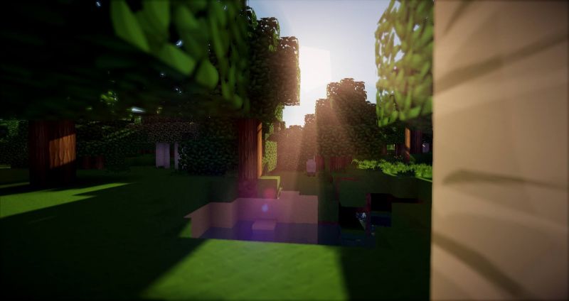 Minecraft,sinar matahari,malam,rumput,hijau,cahaya