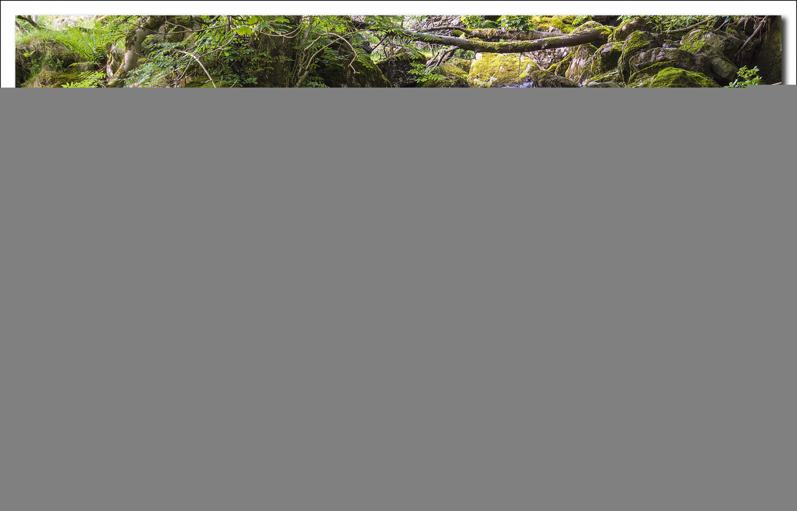 longexposure, Anglie, Příroda, mokrý, voda, krása, krajina, vodopád, mech, kameny, Lake District, balvany, Cumbria, tekoucí voda, northwestengland, photosof, imageof, fastflowing, photoof, imagesof, sonya77, paulsimpsonphotography, holidayinthelakes, Červenec2015