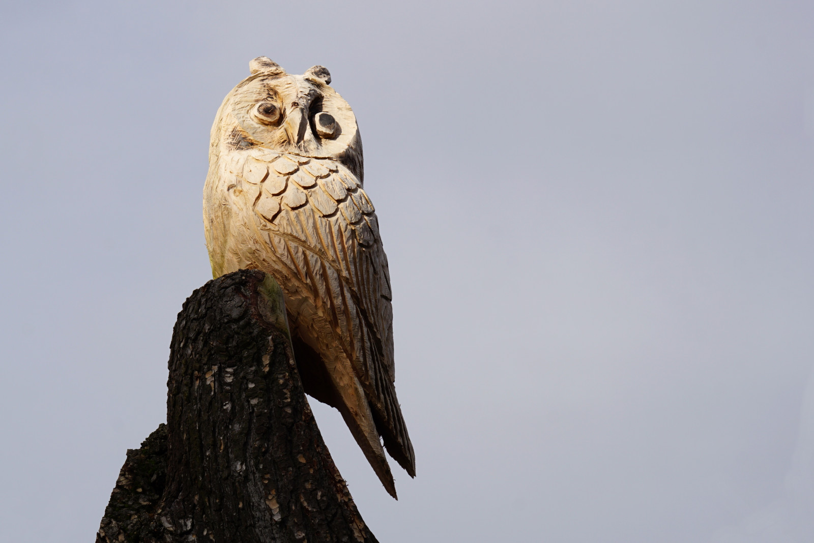 nebe, park, dřevo, Volně žijících živočichů, slunce, sochařství, socha, Sony, dravý pták, sova, Slunný, denní světlo, objektiv, zobák, MM, památník, světlo, paprsek, paprsky, 50mm, primární, f18, kůň, 18, venkovní, pták, F, dřevěný, emount, alfa, ilce, fauna, 50, E, A6000, alfa, 6000, sel50f18