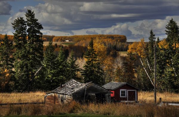 landscape, old, hill, nature, building, fall